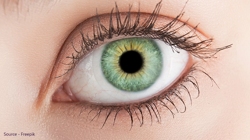 A detailed close-up of a human eye with striking green and yellow central heterochromia, defined by long, dark lashes and subtle brown eyeshadow.