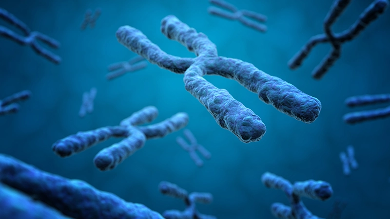 3D medical illustration of blue X-shaped chromosomes floating in a dark blue microscopic environment.