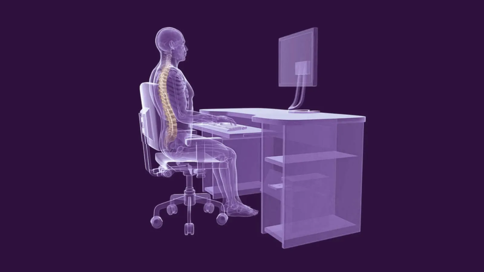 X-ray view illustrating correct ergonomic posture at a computer desk, with the spine straight and the monitor at eye level to prevent digital eye strain and discomfort.