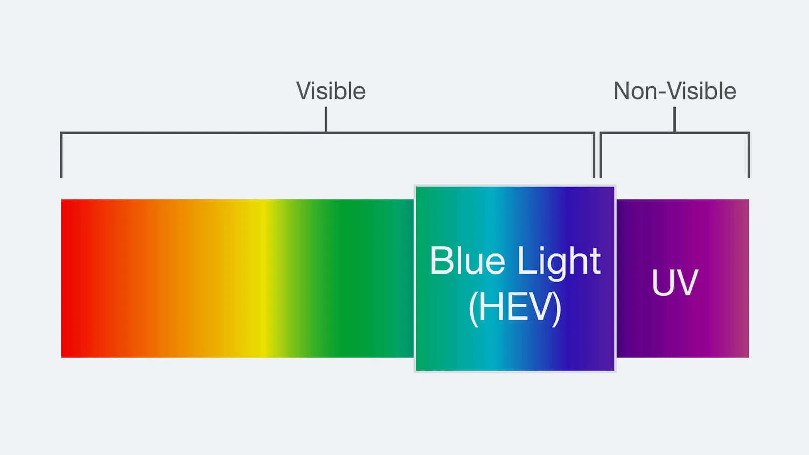 Diagram of the light spectrum showing High Energy Visible (HEV) blue light positioned right next to ultraviolet (UV) light on the scale.