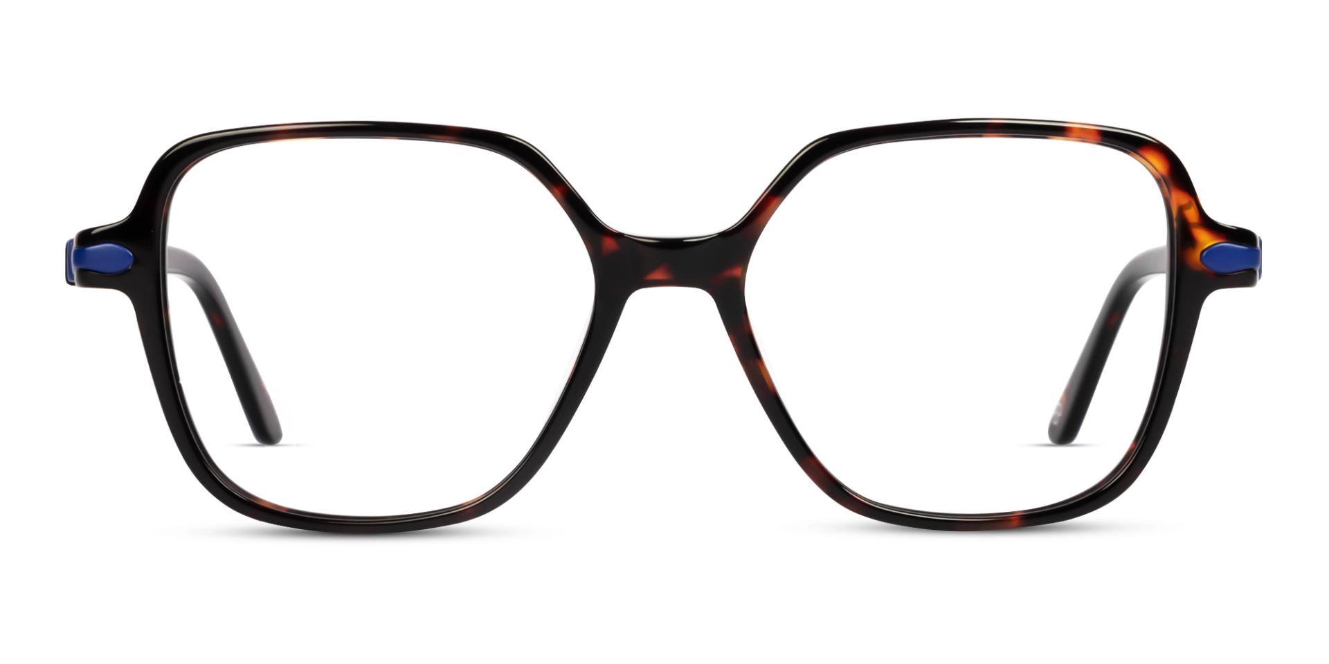 Oversized Dark Tortoise Geometric Glasses