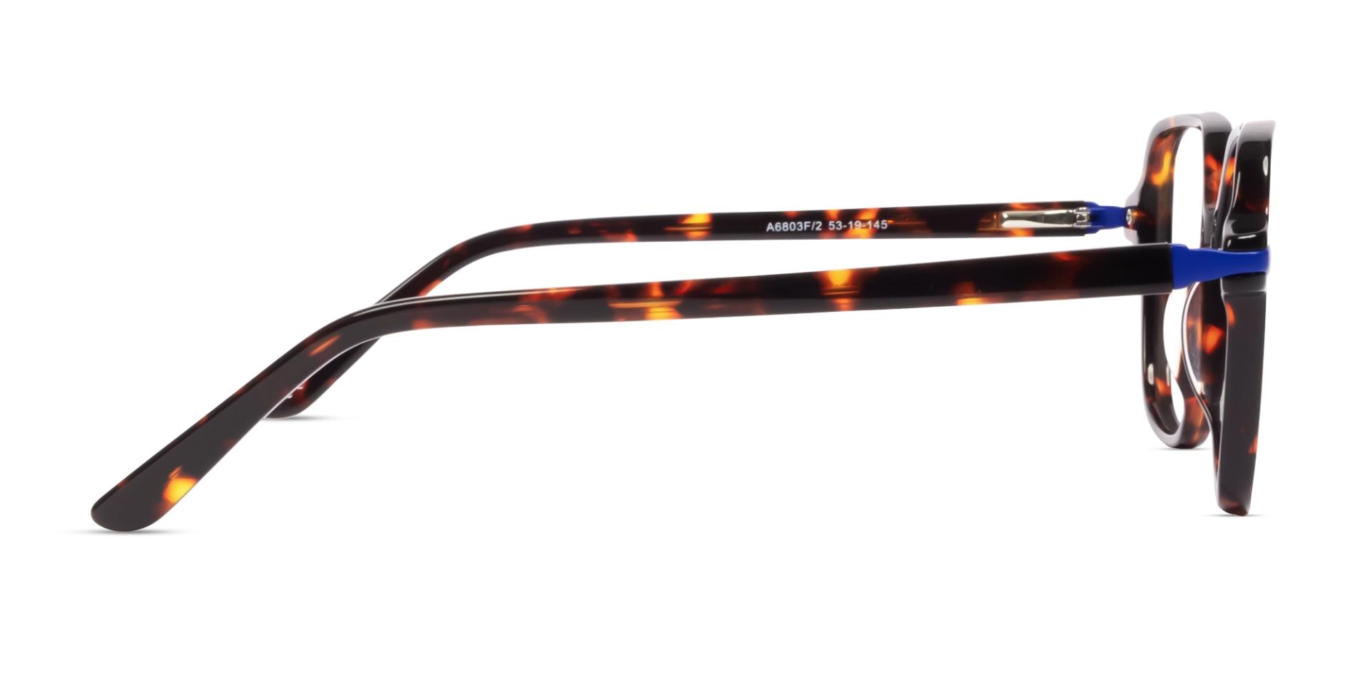 Oversized Dark Tortoise Geometric Glasses