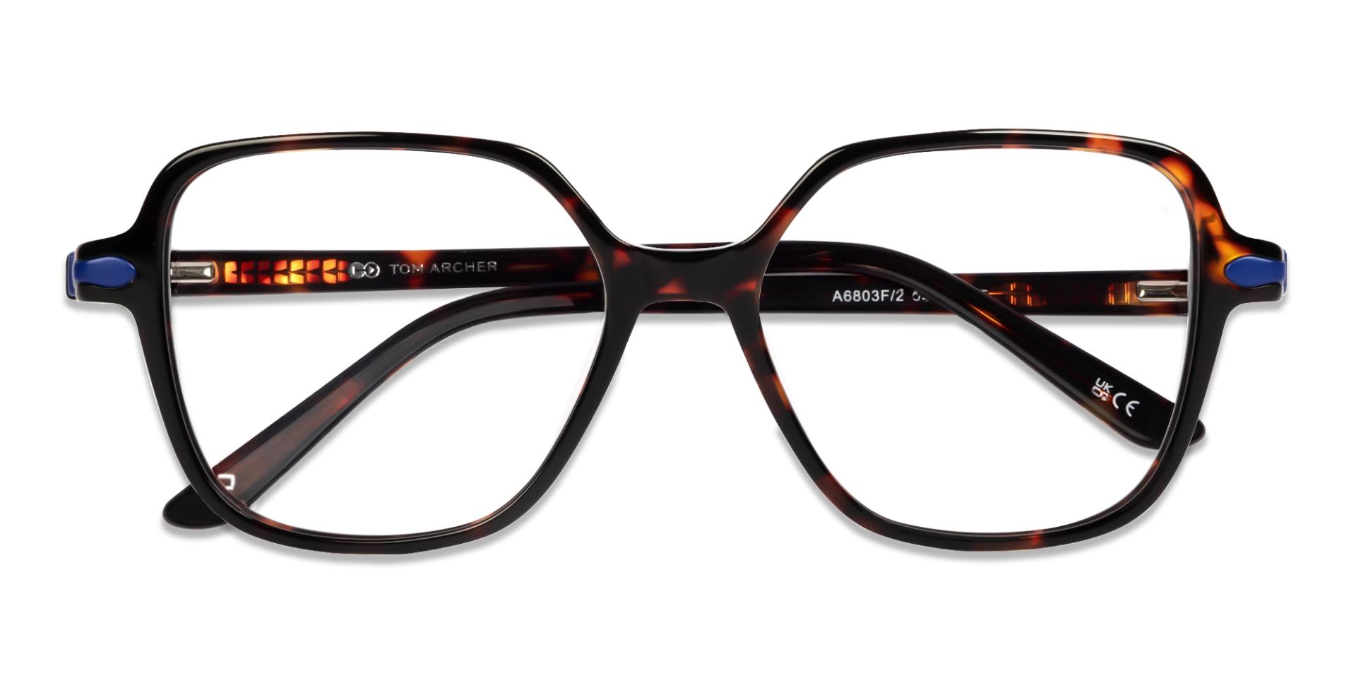 Oversized Dark Tortoise Geometric Glasses