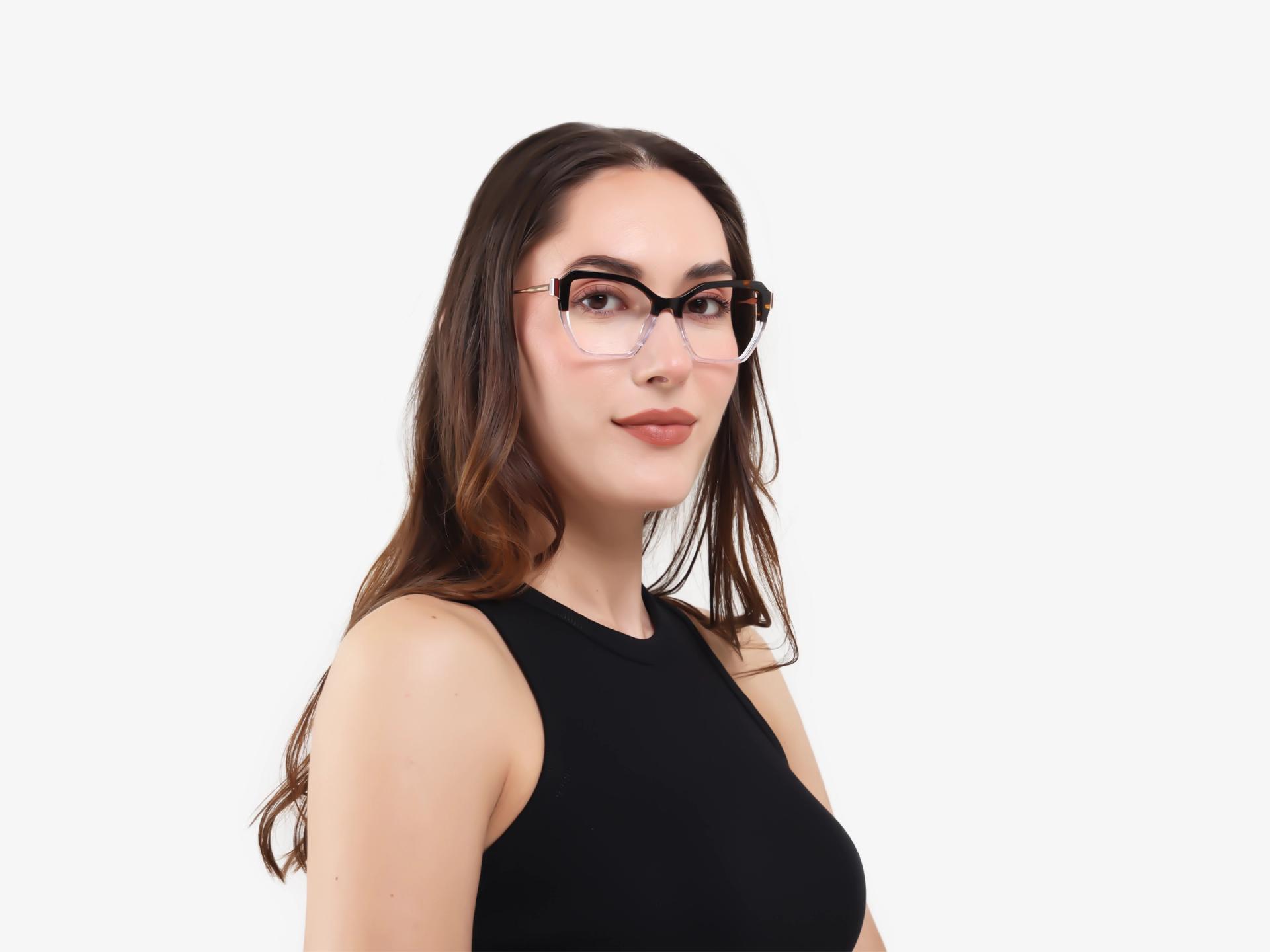 Dakr Tortoise & Clear Butterfly Glasses-1