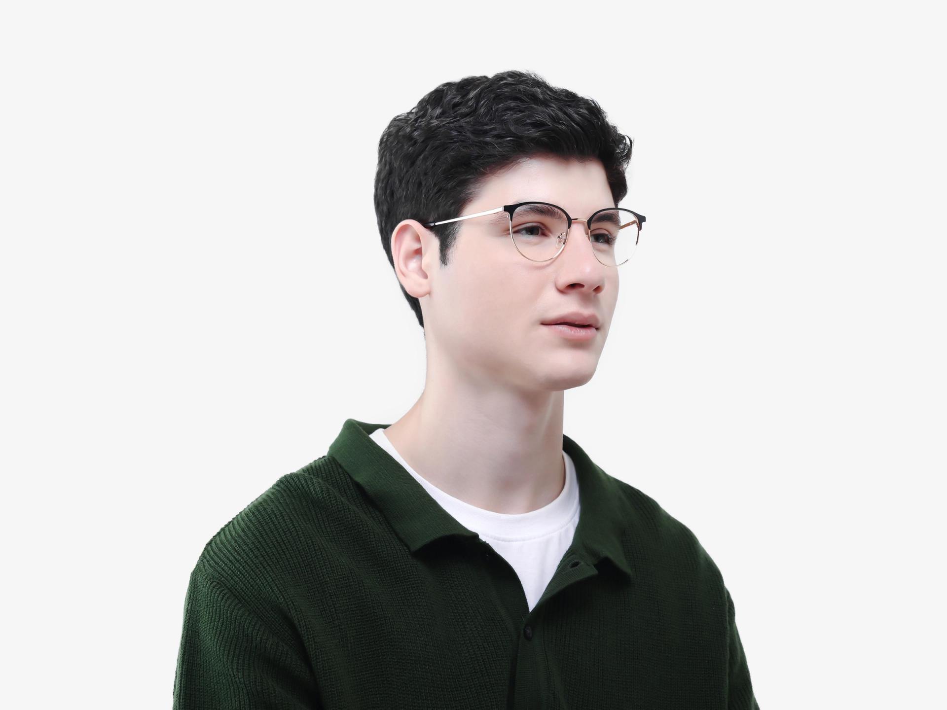 Matte Black & Champagne Gold Browling Glasses-1
