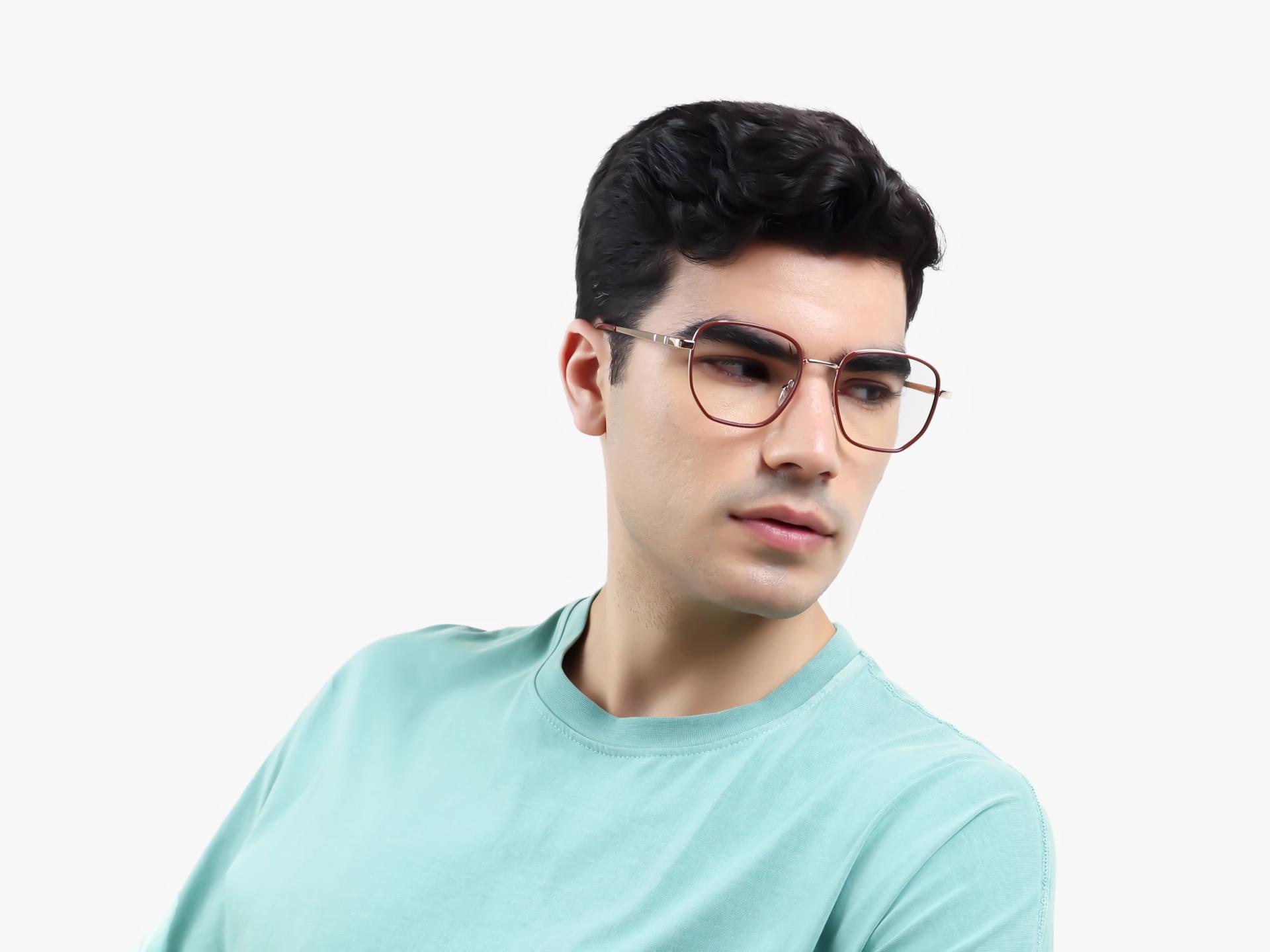 Chestnut & Gold Geometric Glasses-1