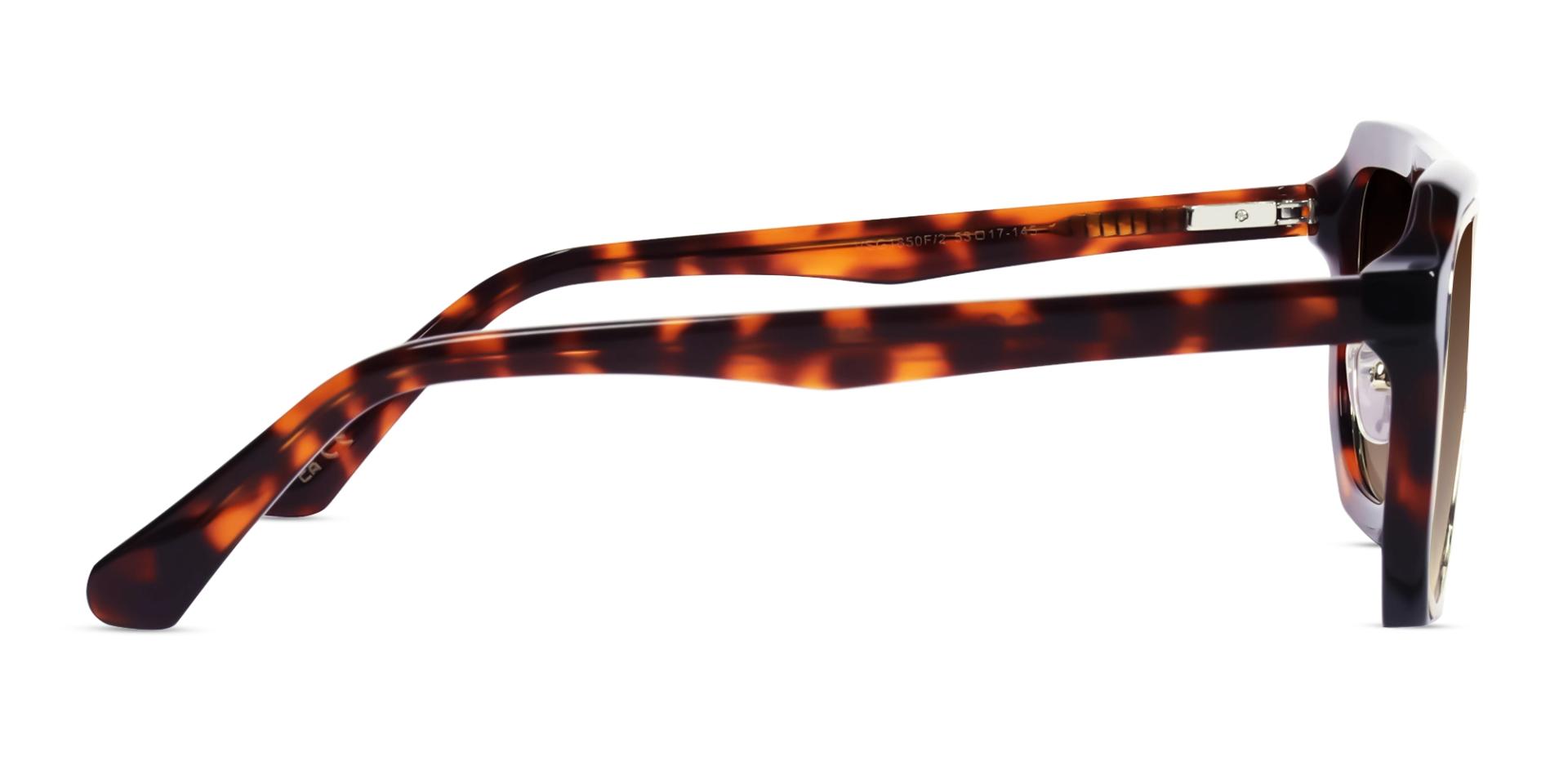 Tortoise Vintage Frame With Brown Tint Glasses