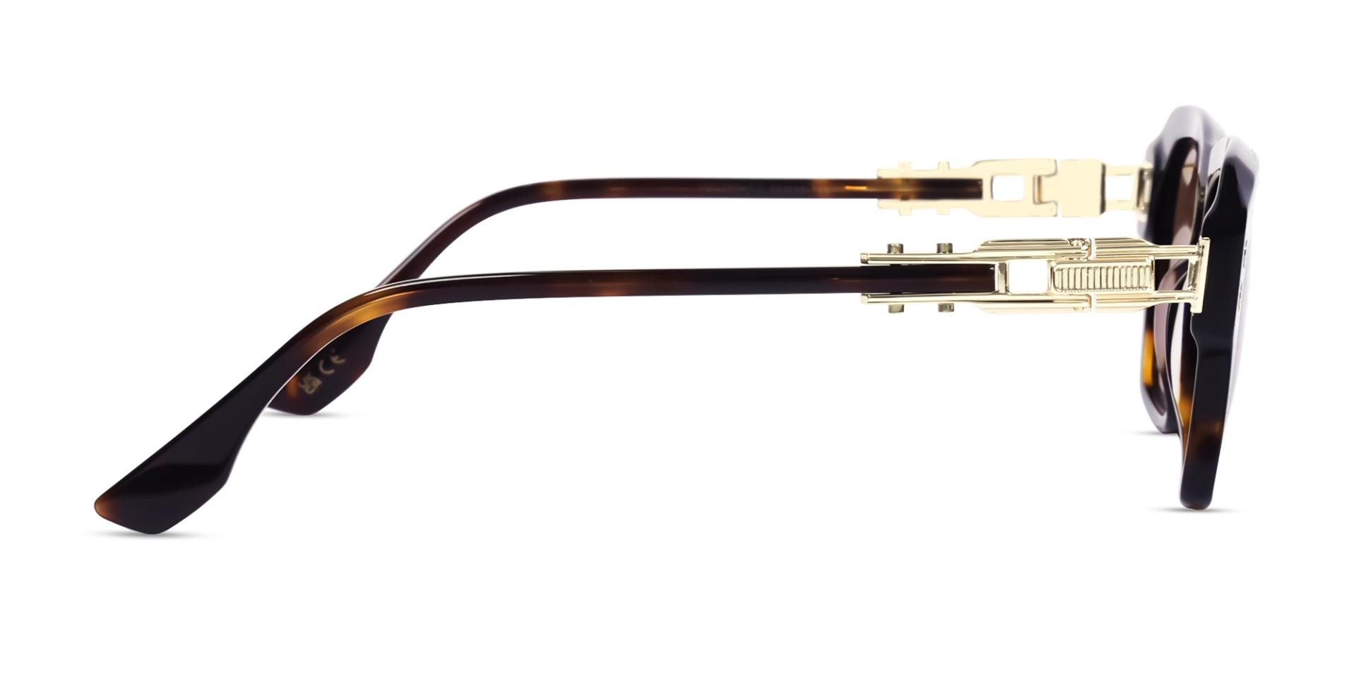 Oversized Tortoise Fullrim Frame With Brown Tint Sunglasses