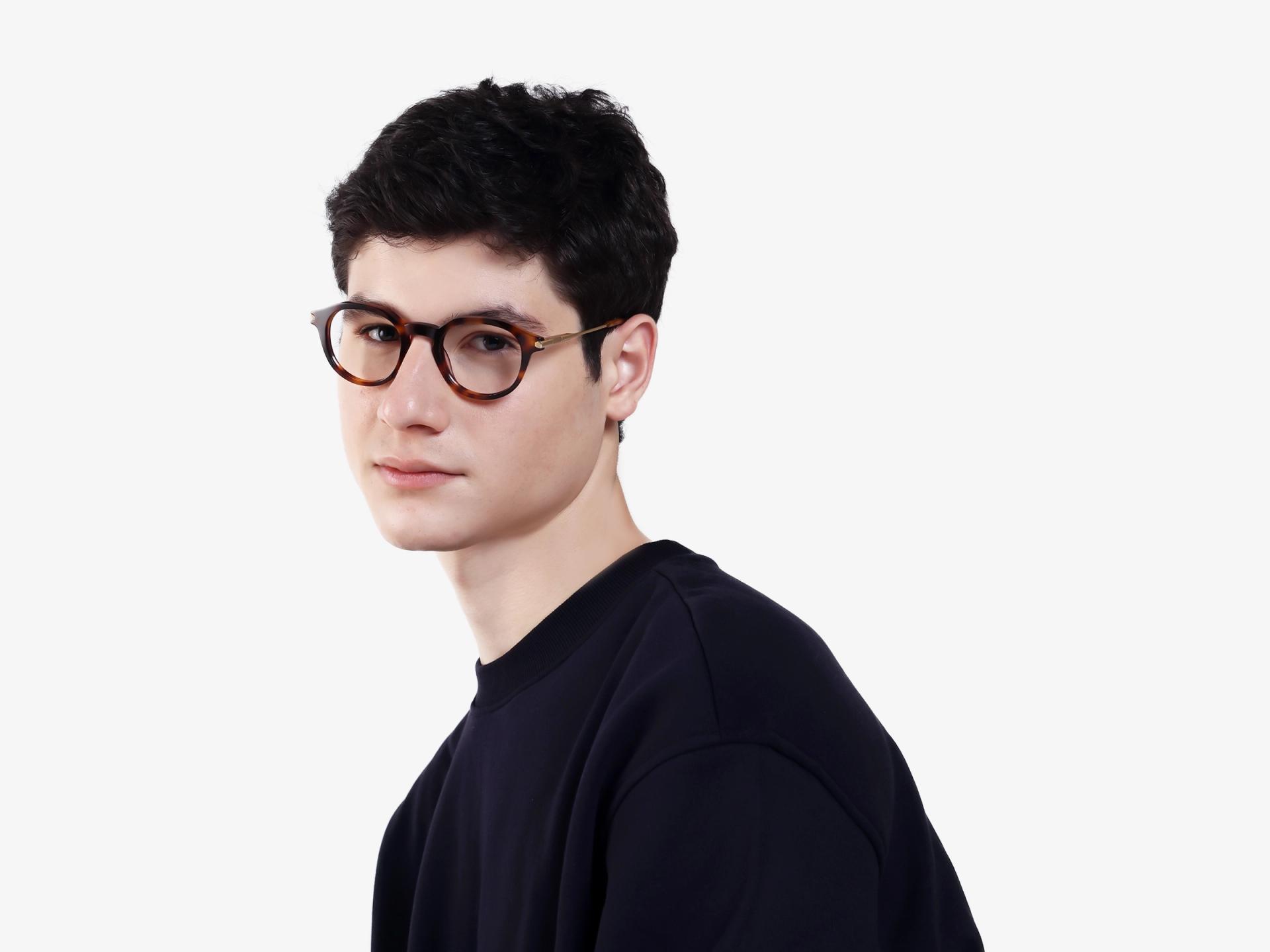 Round Honey Tortoise Keyhole Bridge Glasses-1