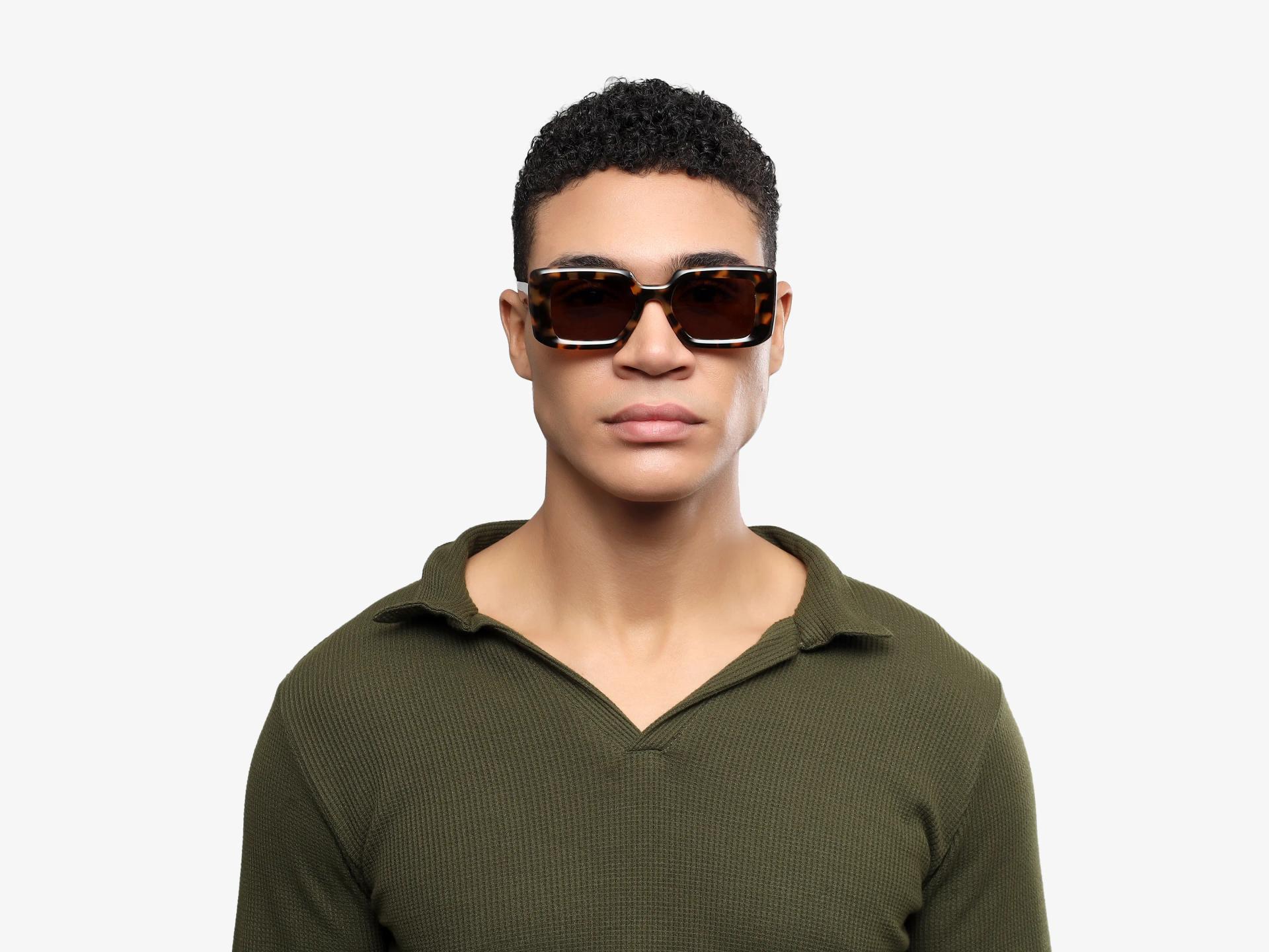 Honey Tortoise Frame With Brown Polarised Tint Sunglasses-1