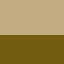 Gold & Tortoise swatch