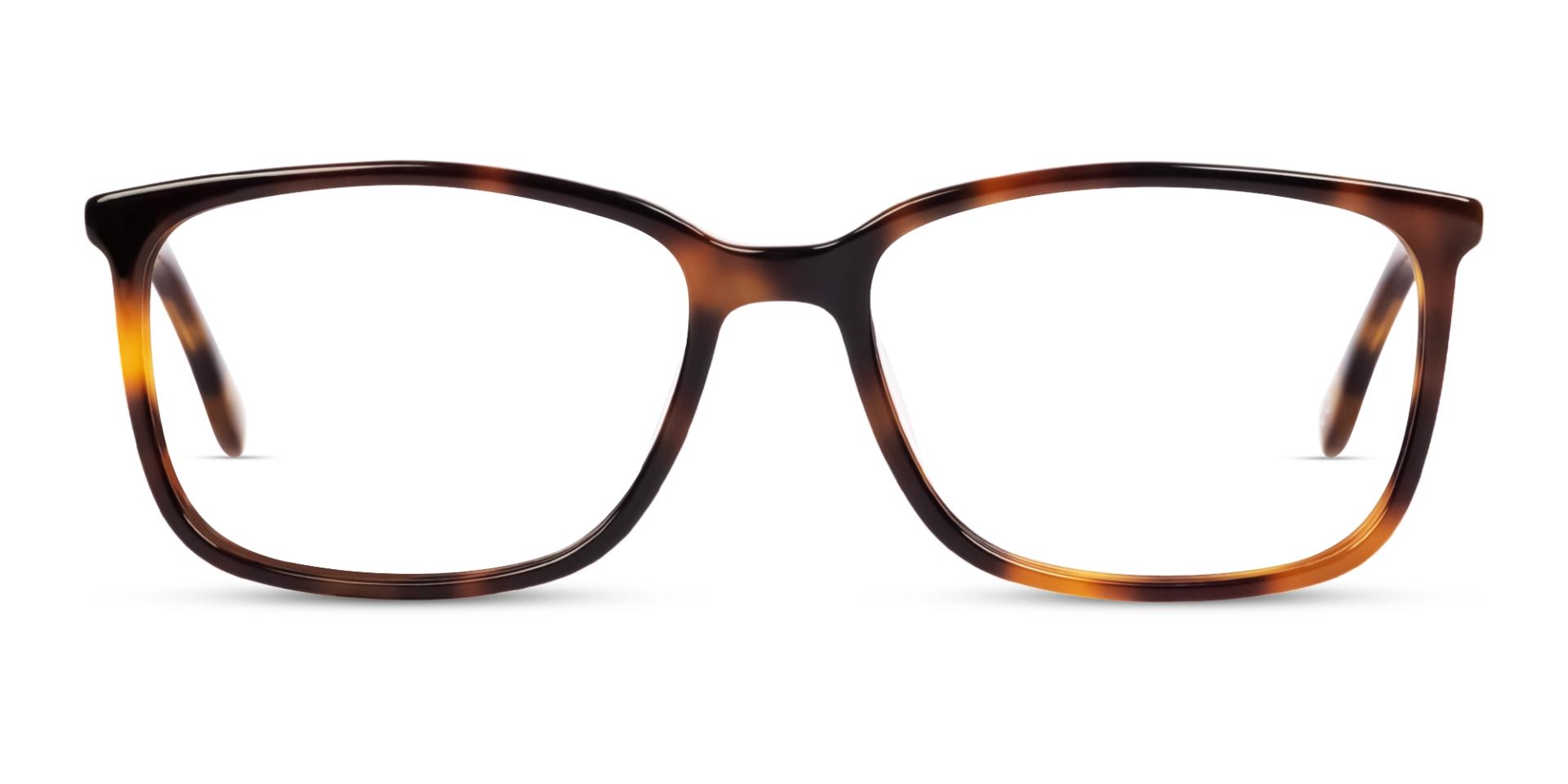 Honey Tortoise Rectangular Fullrim Glasses Honey Tortoise Rectangular Fullrim Glasses