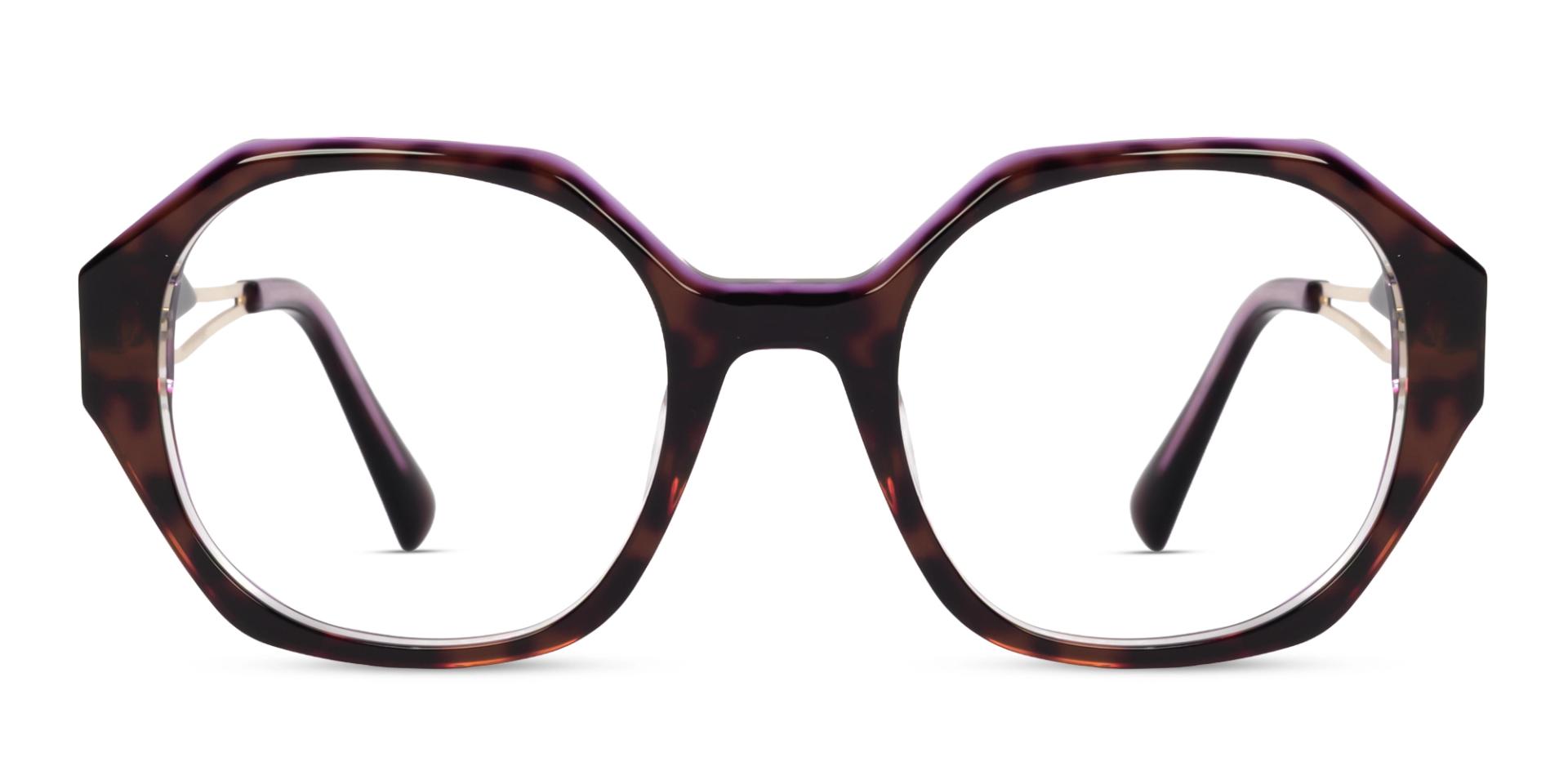 Dark Brown Tortoise Butterfly Acetate Glasses