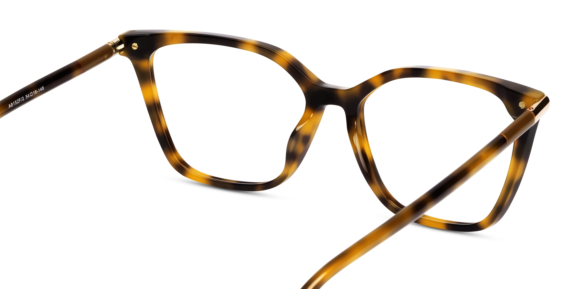 Honey Tortoise Cat-eye Acetate Glasses-4