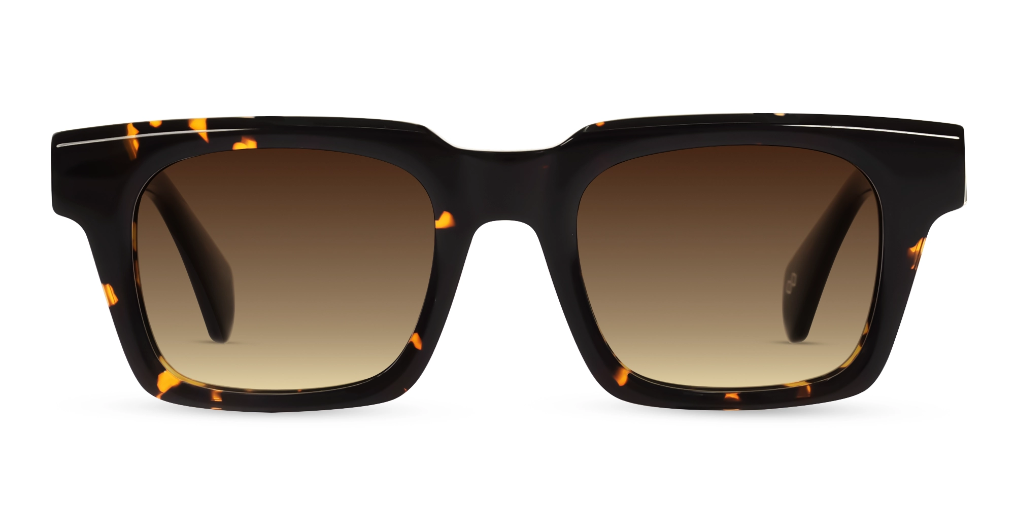 Dark Tortoise Frame With Brown Tint Sunglasses-1