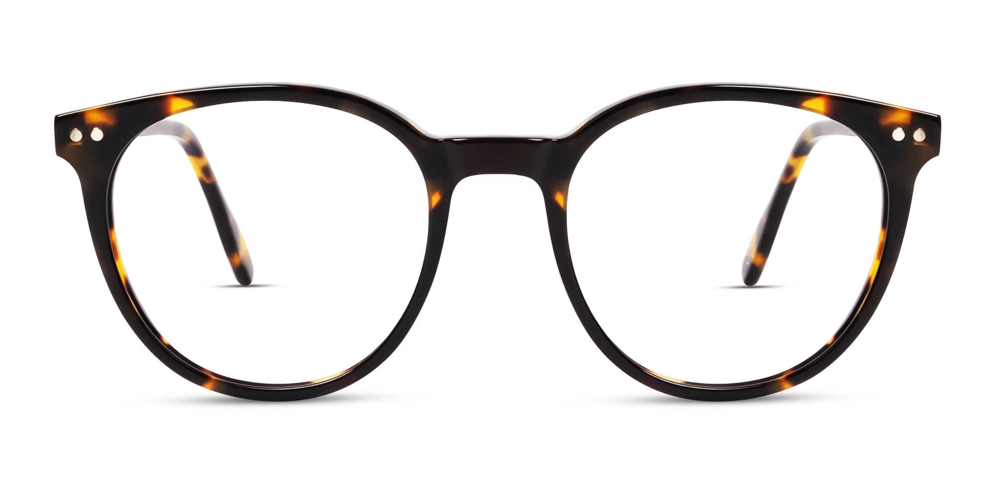 TL3005F/2 - Tortoise Magnet Pro