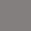 Silver swatch