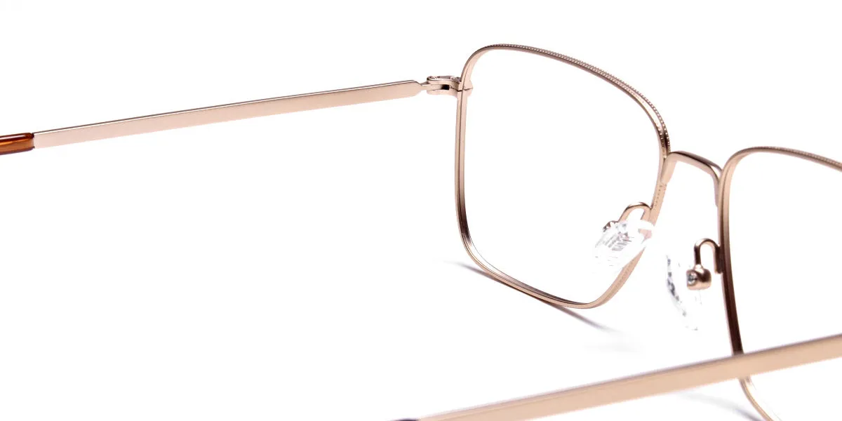 Retro Glasses Frame in Gold Metal with Tortoise Temple Tips, Eyeglasses -2