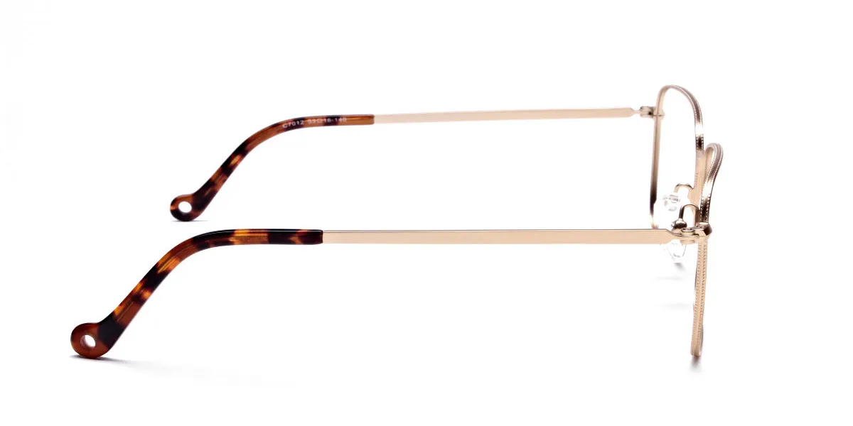 Retro Glasses Frame in Gold Metal with Tortoise Temple Tips, Eyeglasses -2