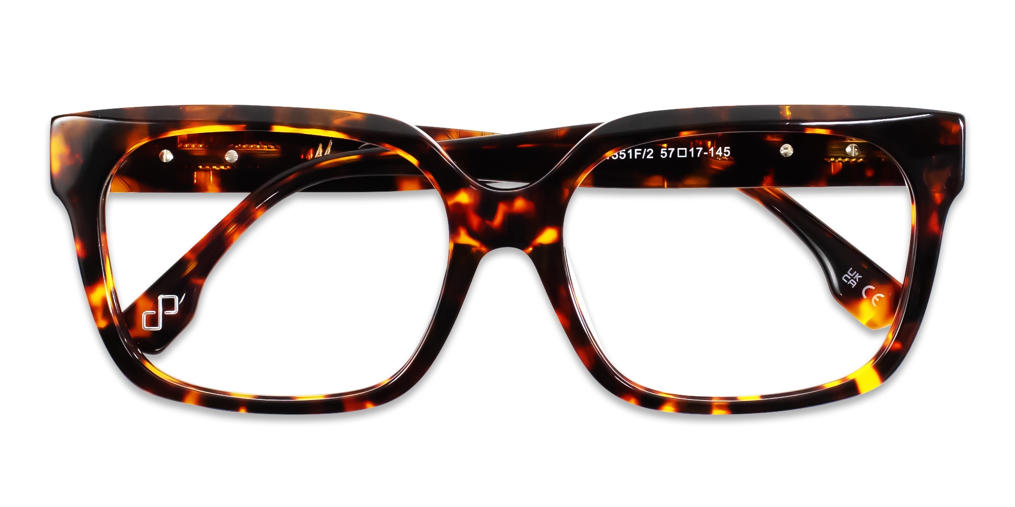 Tortoise Oversized Square Glasses