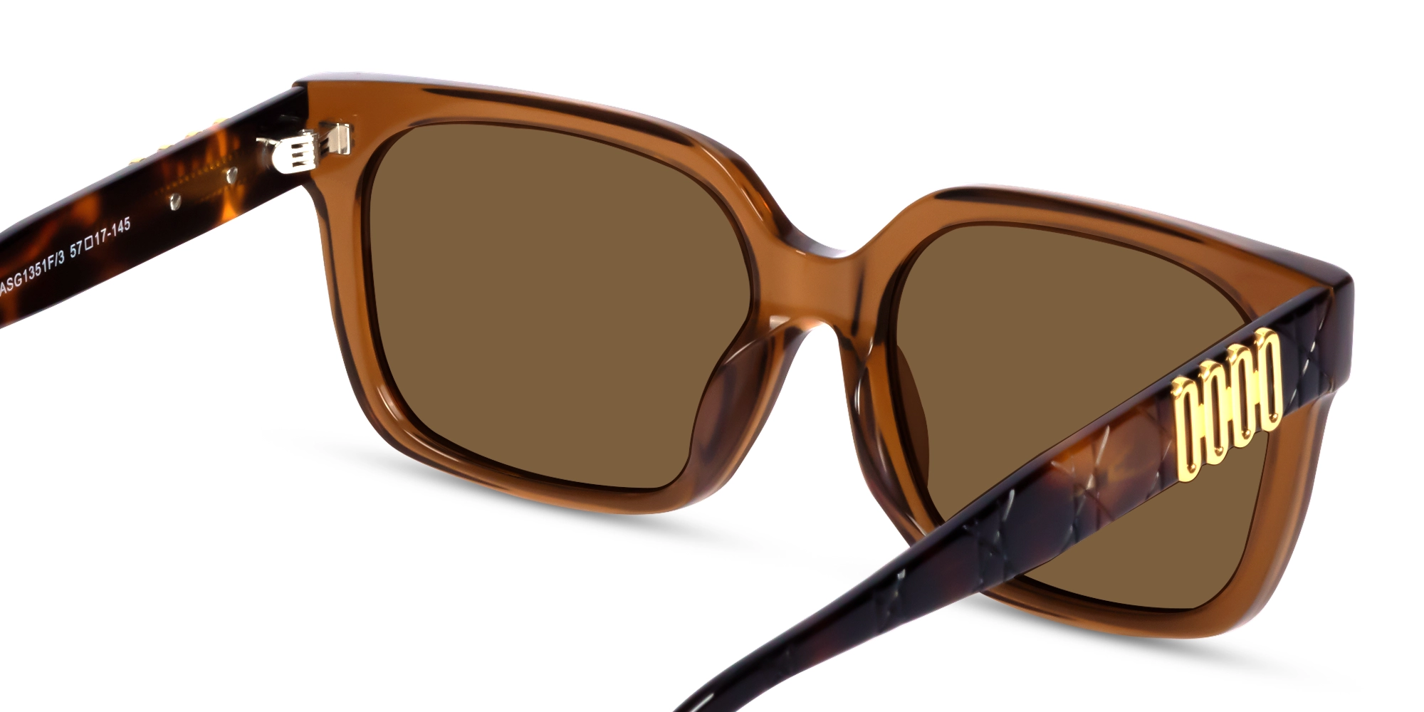 Square Acetate Frame With Brown Tint Sunglasses