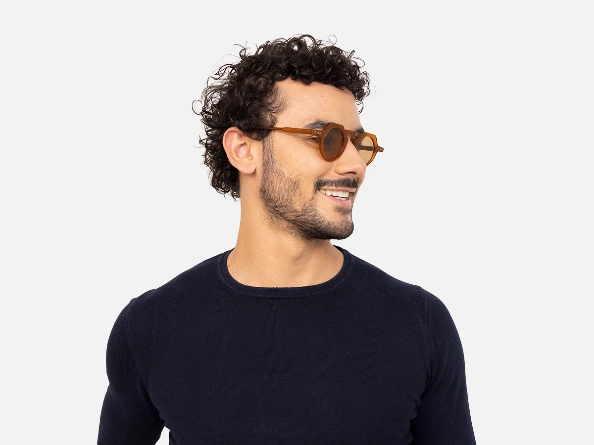 Small Brown Sunglasses-43