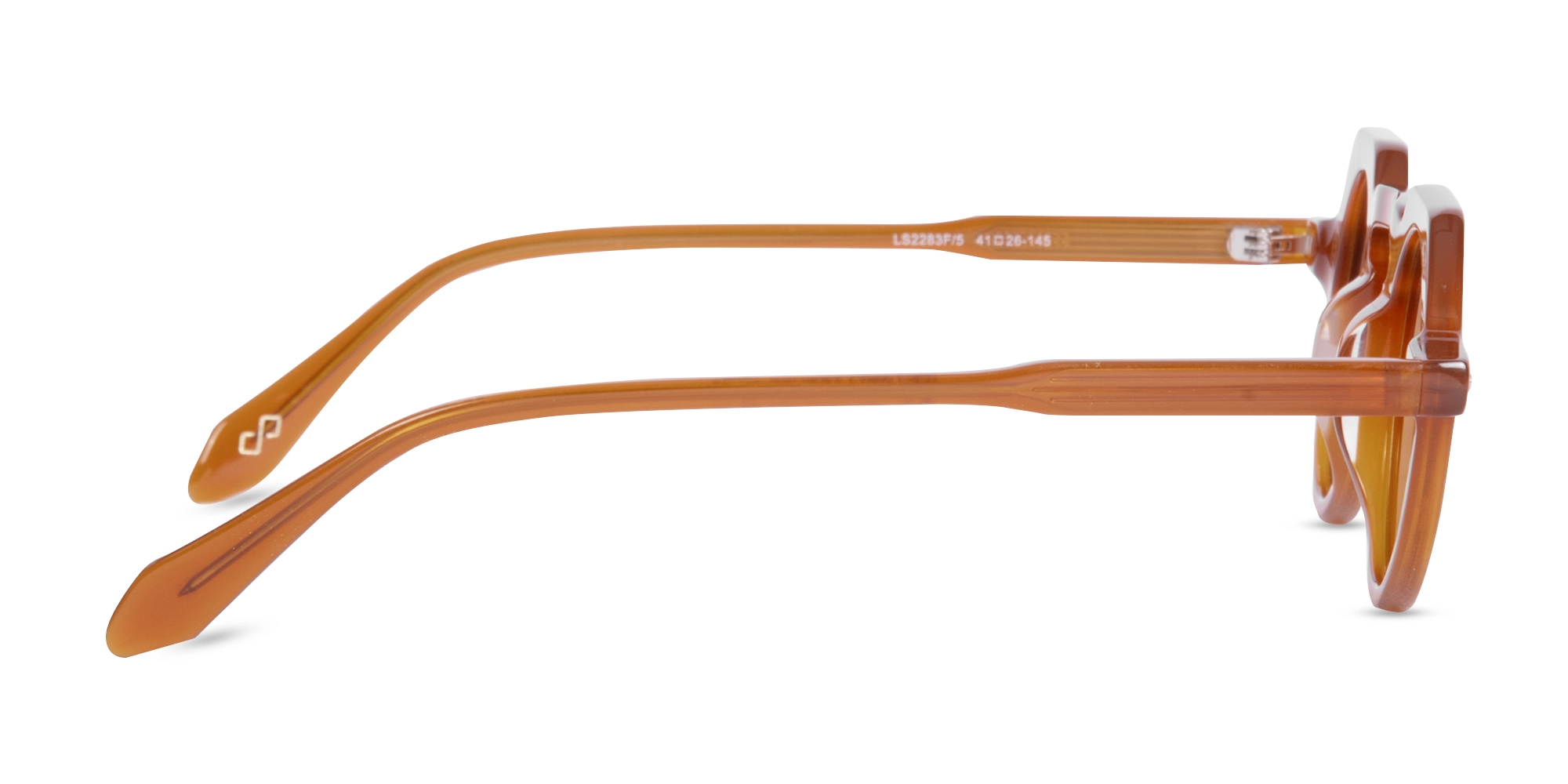 Small Brown Sunglasses-4