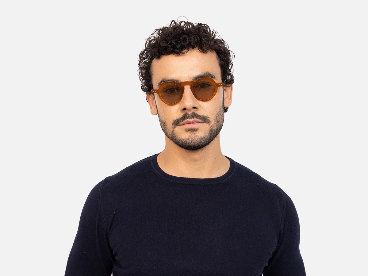 Small Brown Sunglasses-41