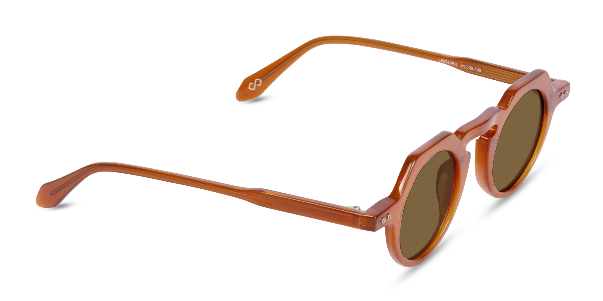 Small Brown Sunglasses-2