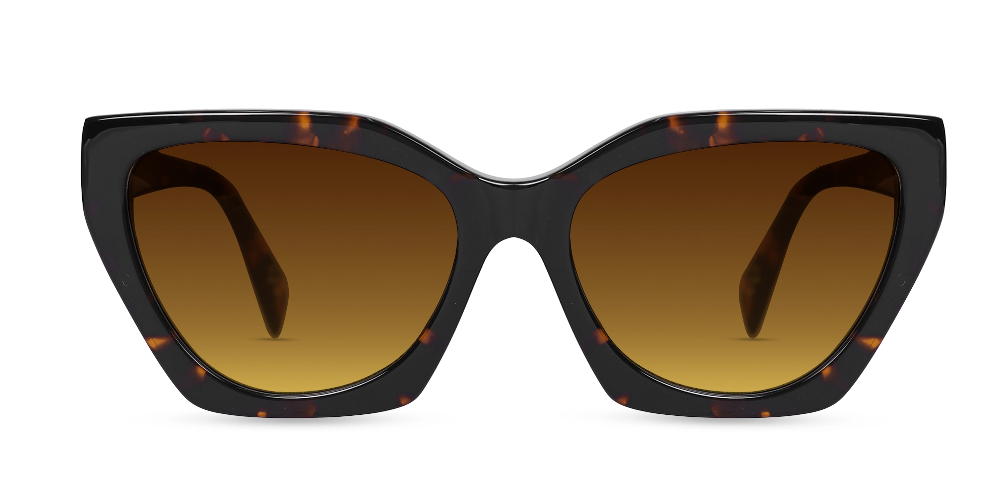 Honey Tortoise Cat-Eye Geometric Sunglasses-1