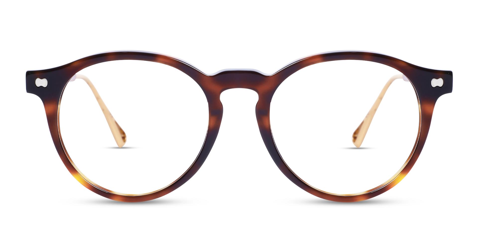 A1101F/3 - Vintage Tortoise Charm