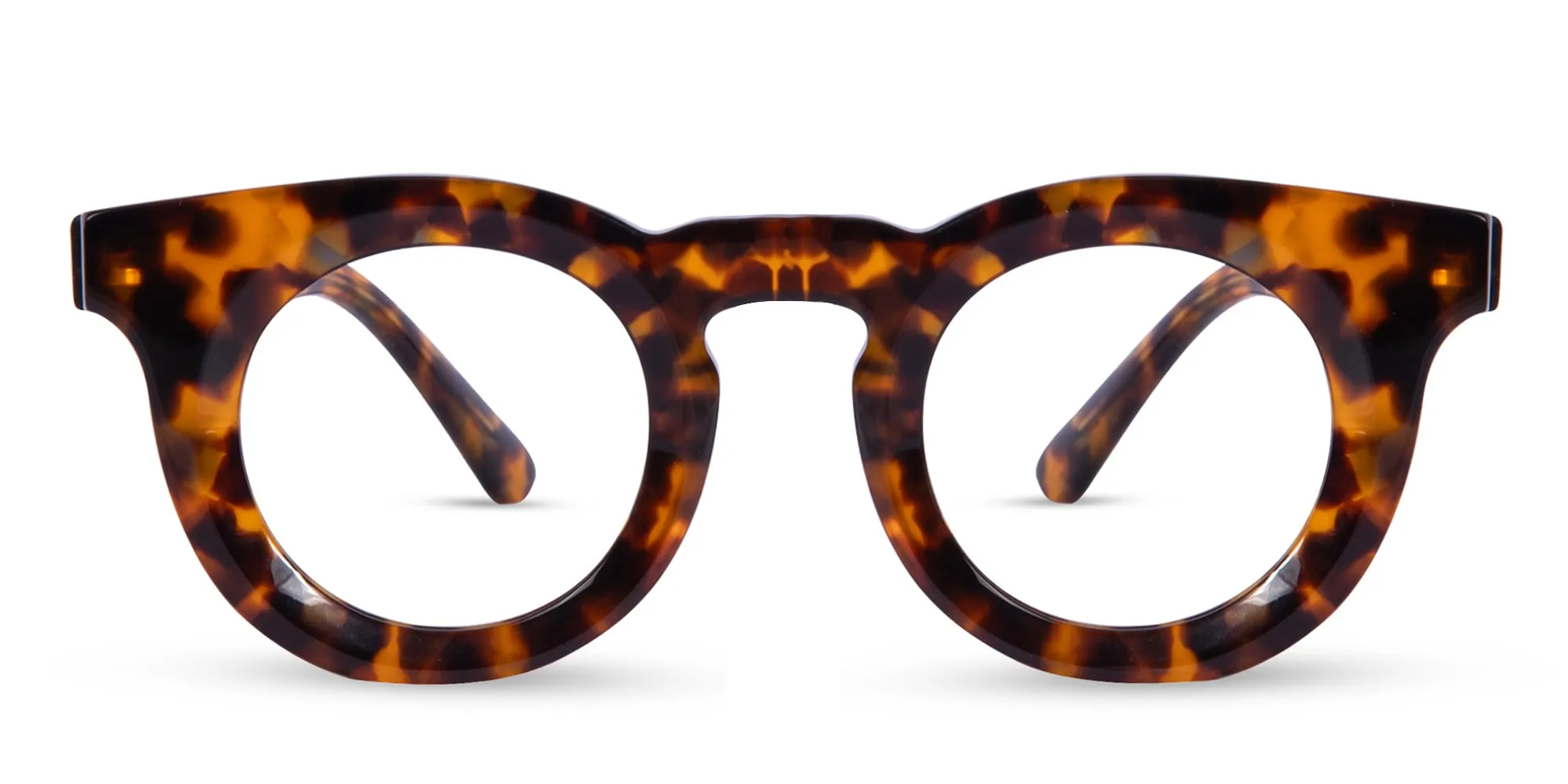 Round Tortoise Shell Eyeglasses-2
