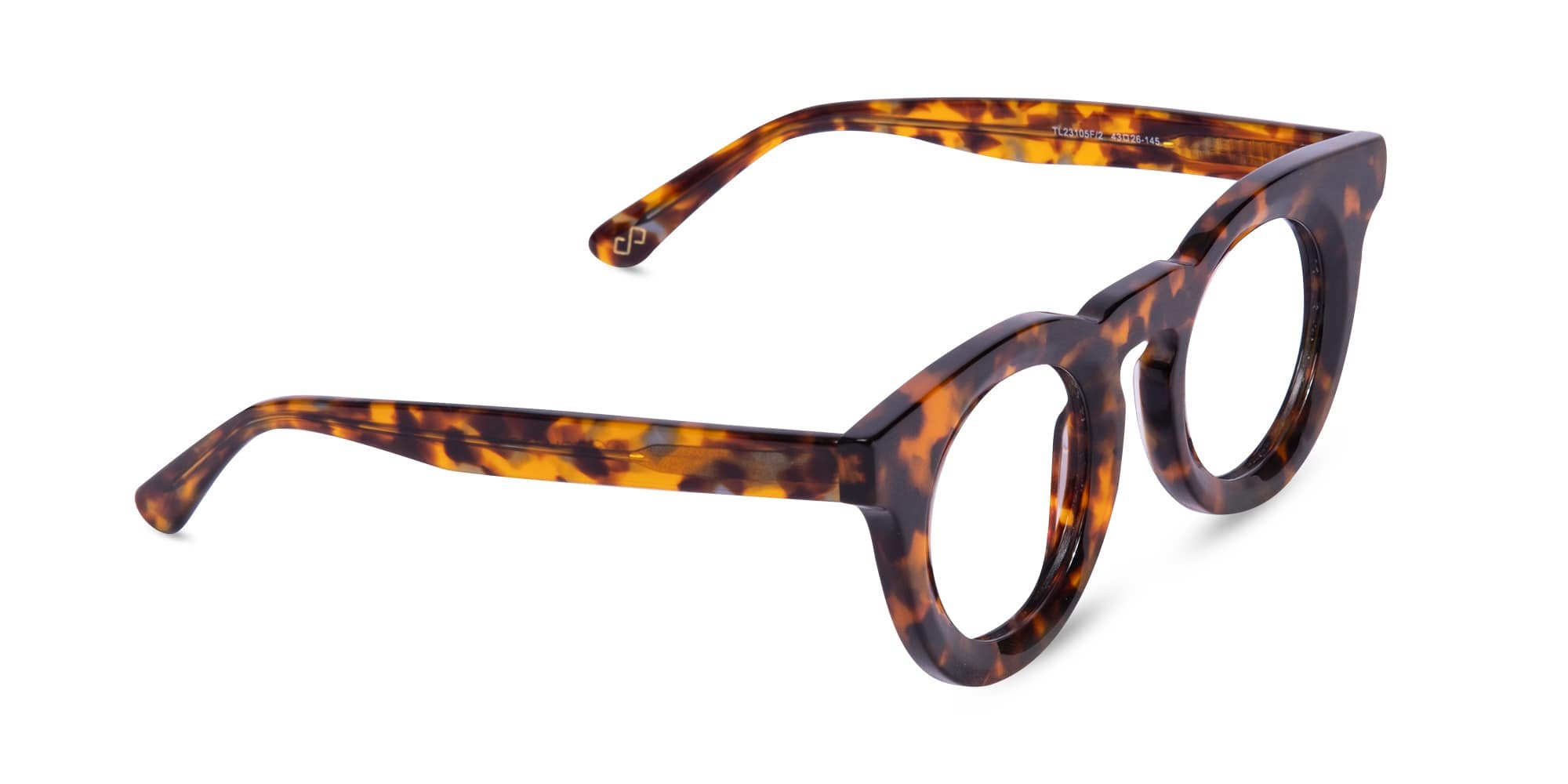 Round Tortoise Shell Eyeglasses-2