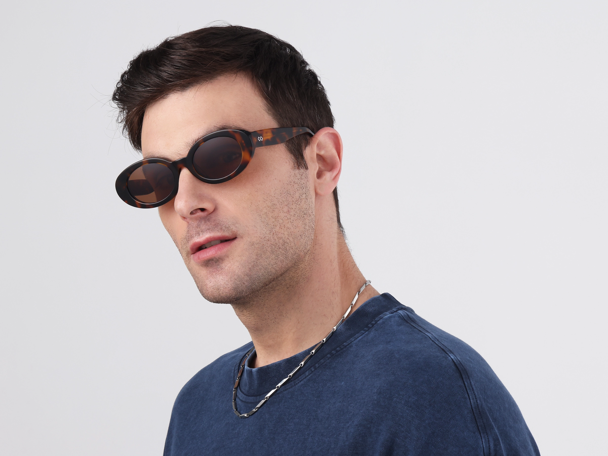 Tortoise Frame With Brown Tint Sunglasses