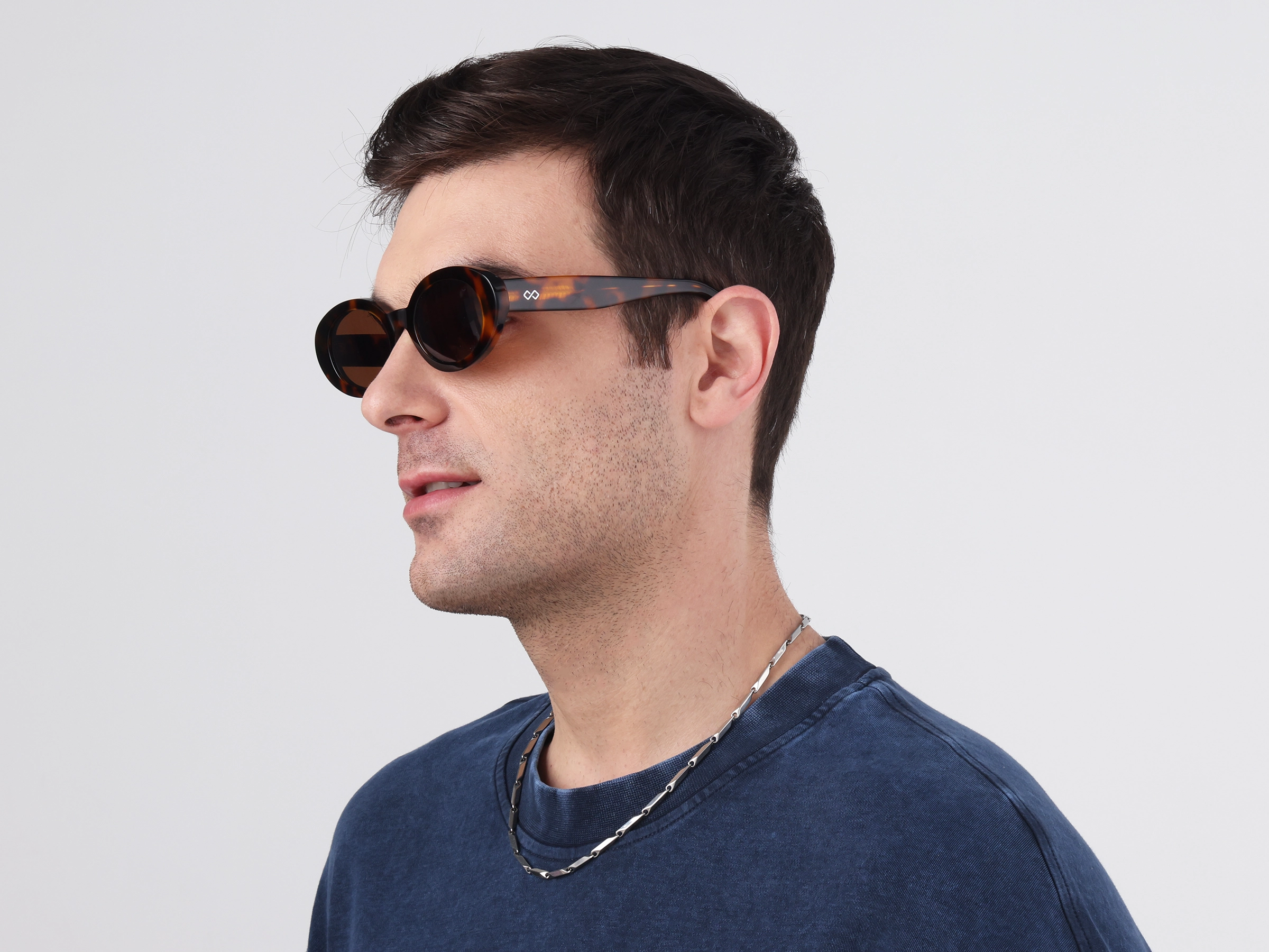 Tortoise Frame With Brown Tint Sunglasses