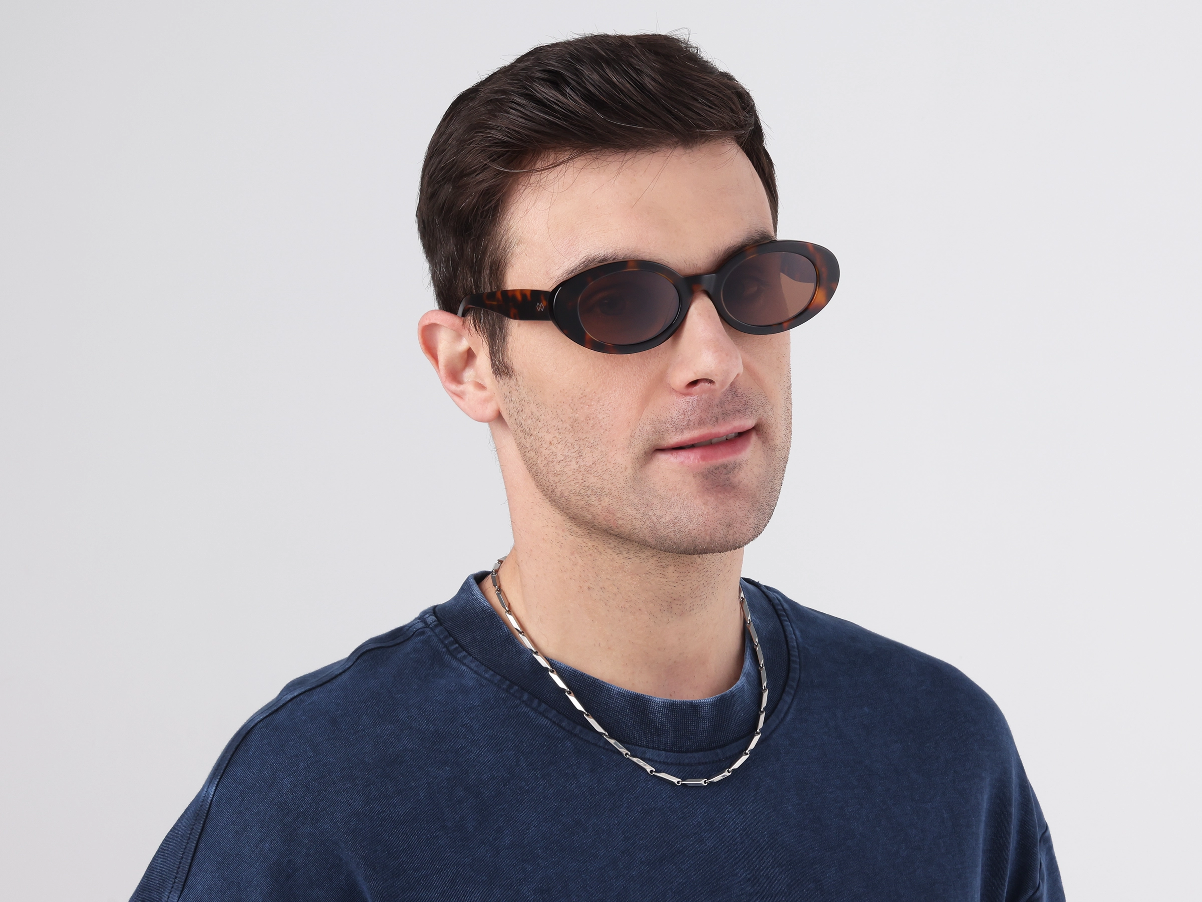 Tortoise Frame With Brown Tint Sunglasses