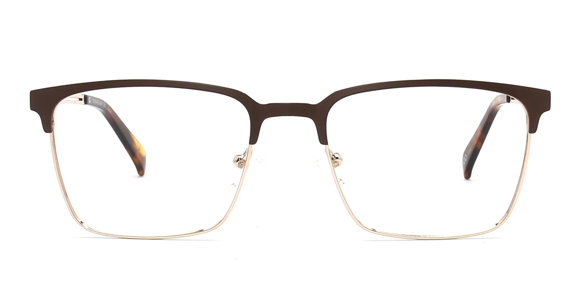 T3664F/2 - Brown, Browline, Brilliant.