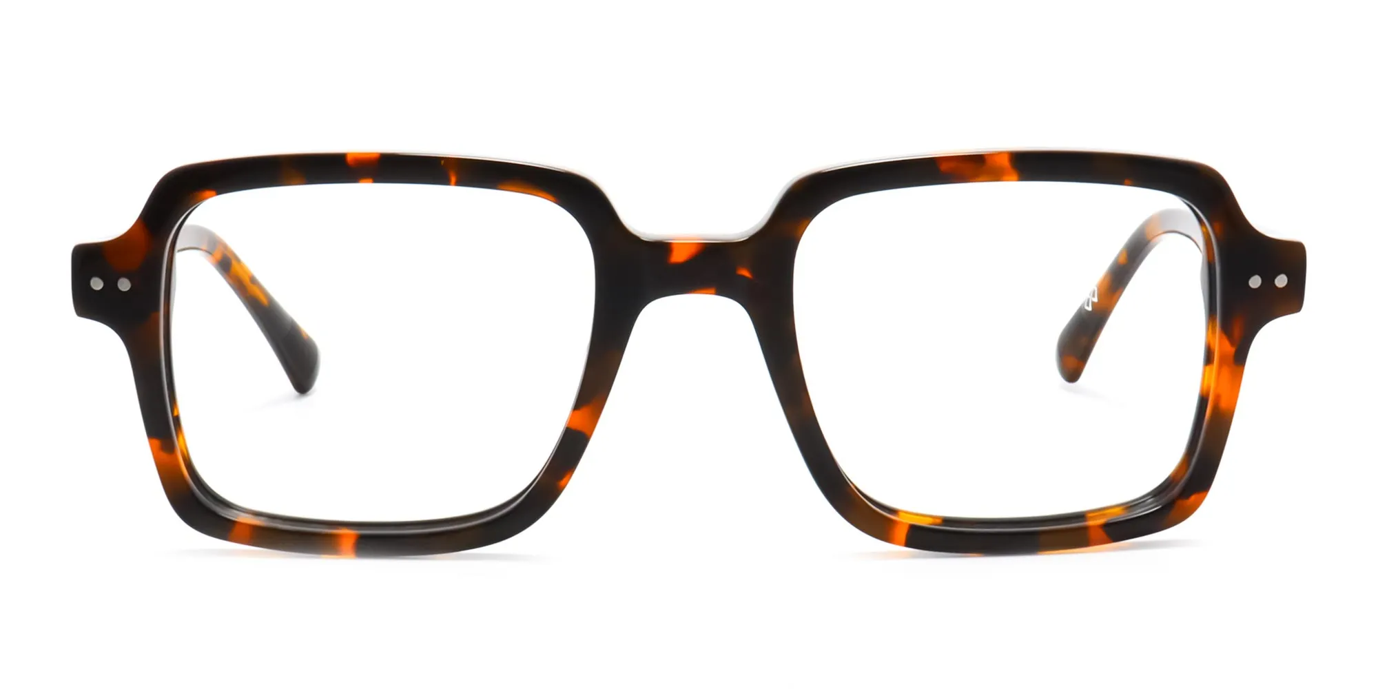 Tortoise shell Eye Frames-1