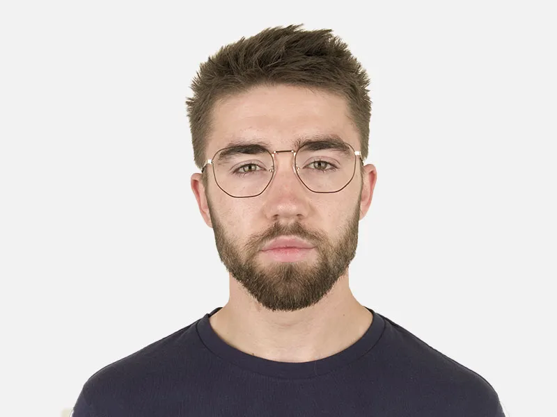 Geometric Brown & Gold Spectacles - 2