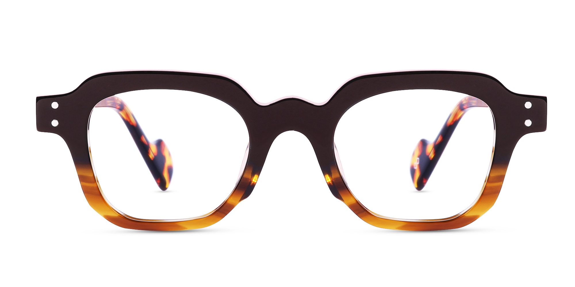 Brown Tortoise Shell Glasses-1
