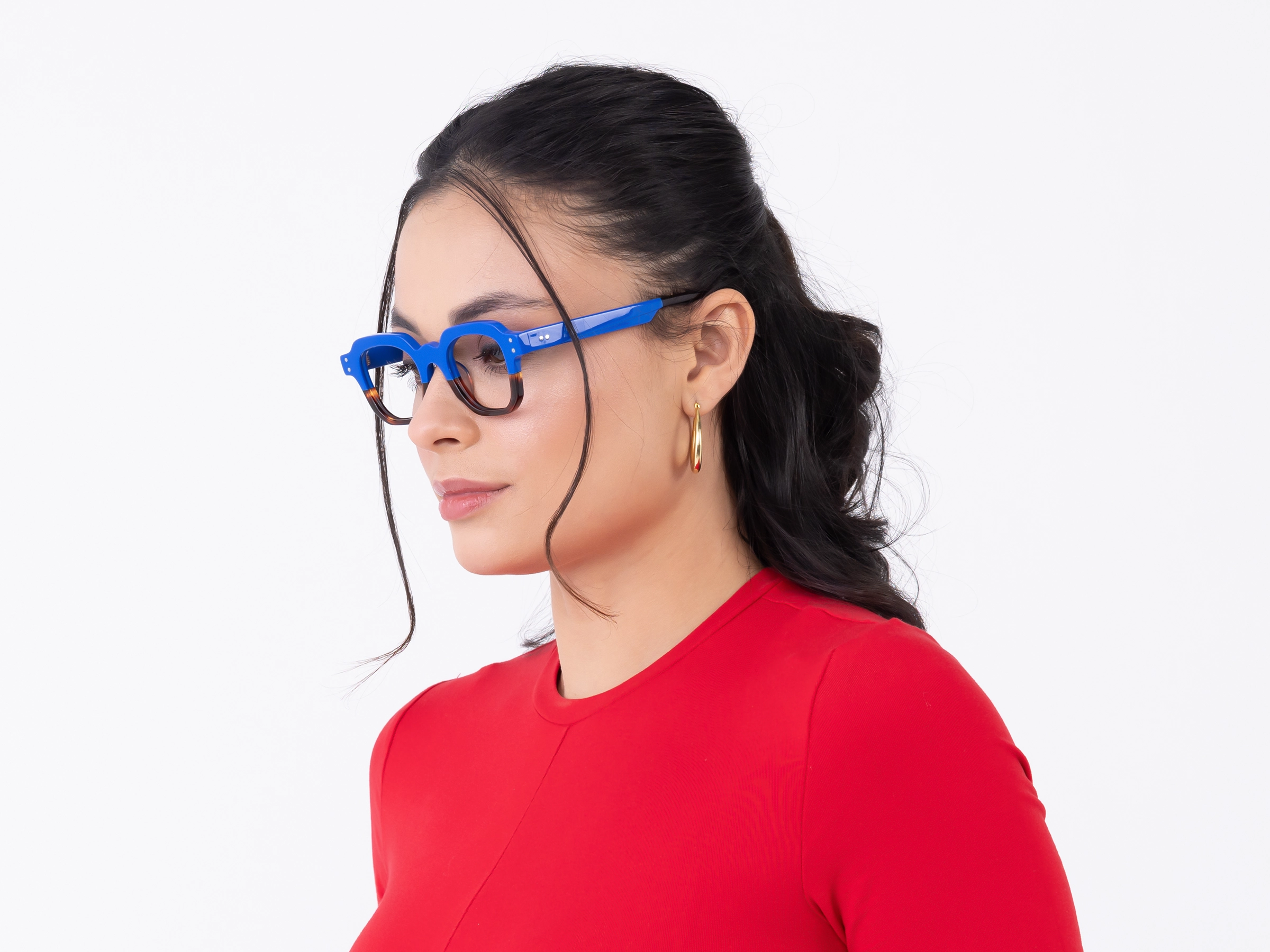 Blue & Dark Tortoise Glasses