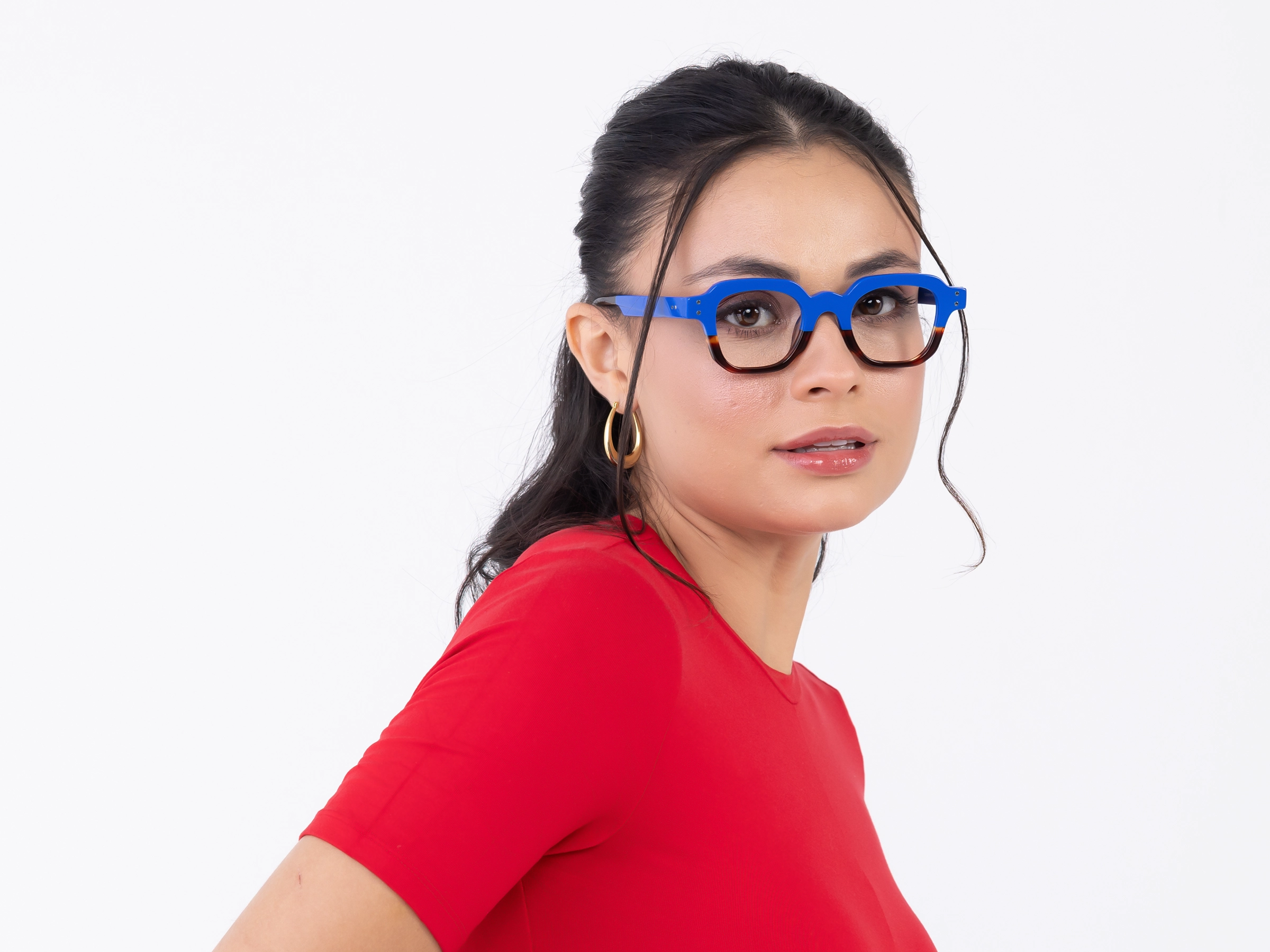 Blue & Dark Tortoise Glasses