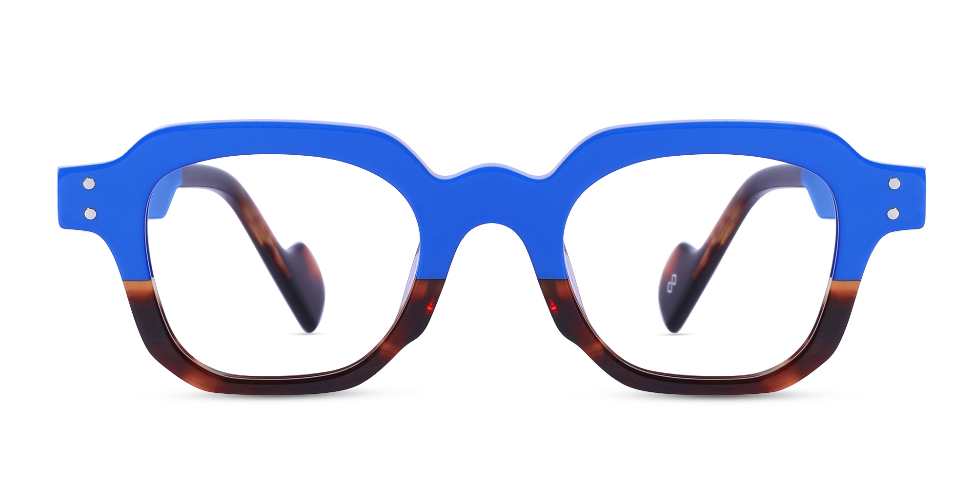 Blue & Dark Tortoise Glasses-1