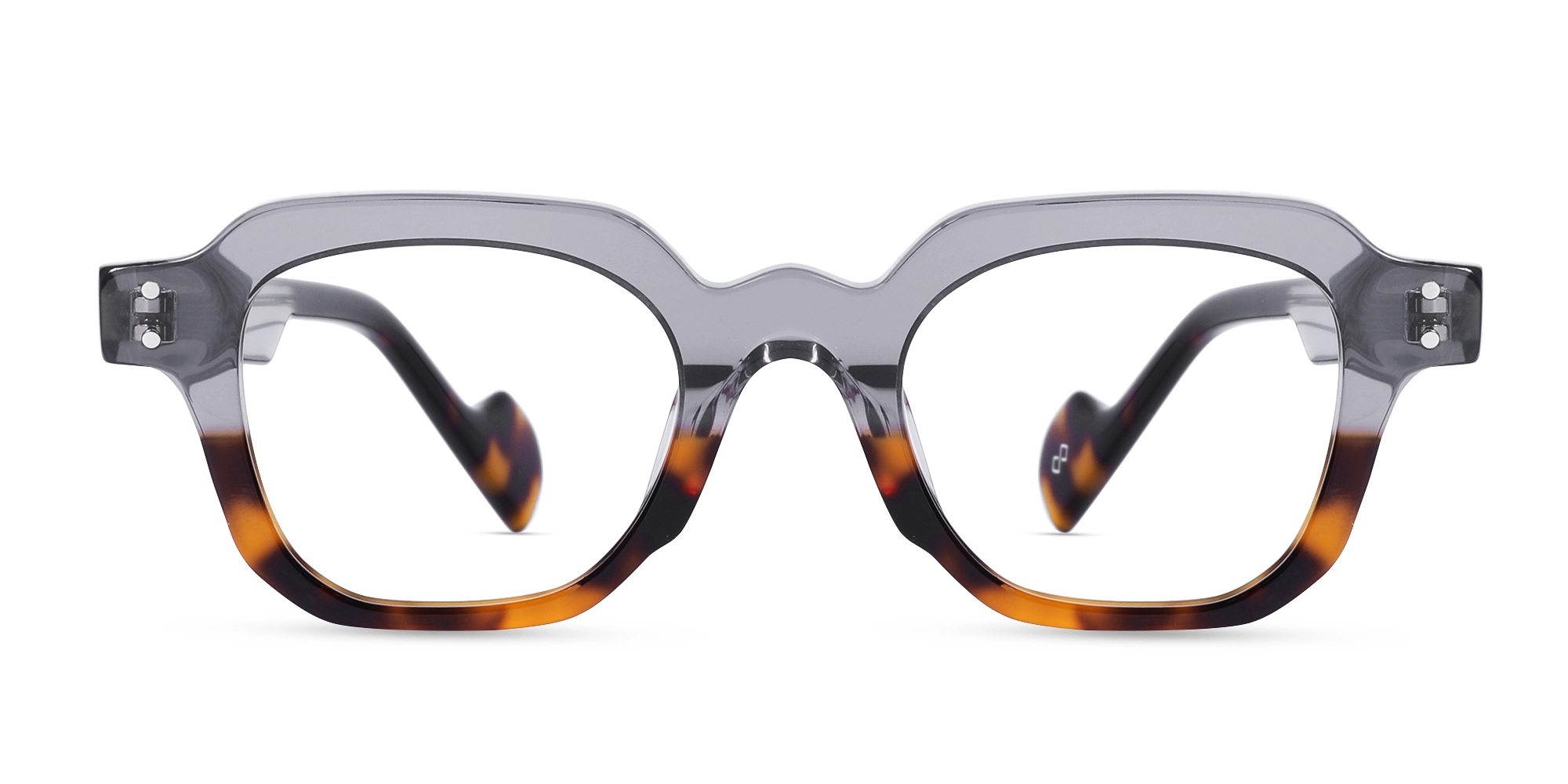 Grey Tortoise Eyeglasses-1 Grey Tortoise Eyeglasses-1