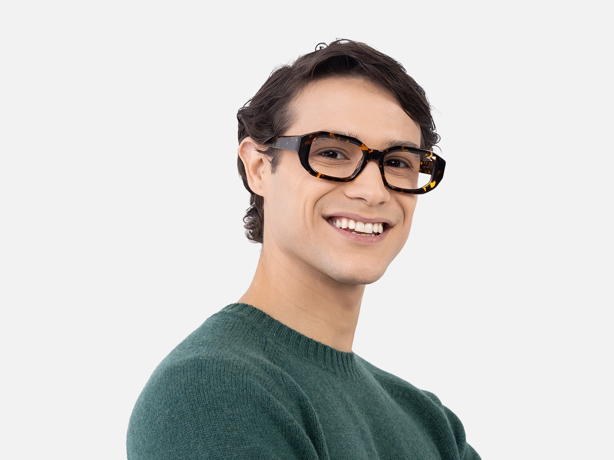 Havana Tortoise Glasses-42