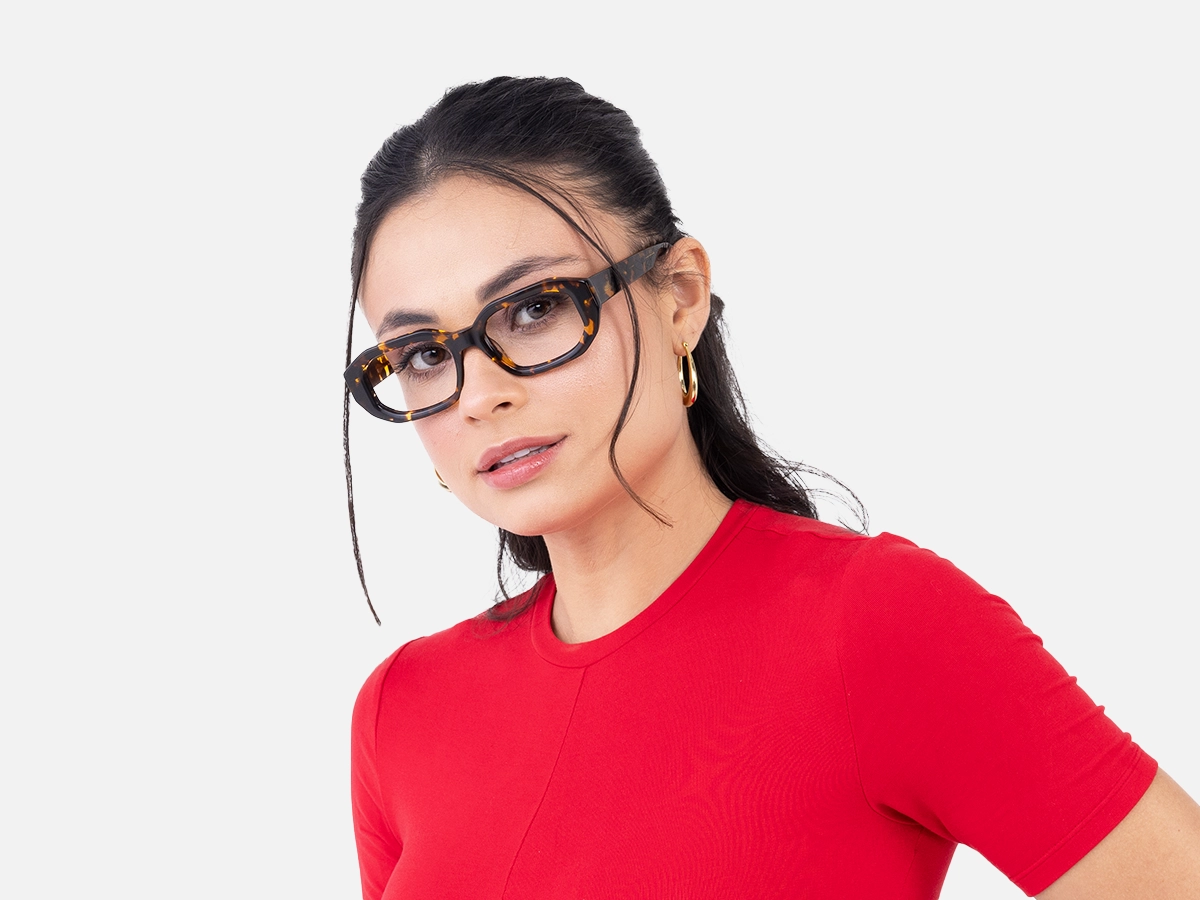 Havana Tortoise Glasses-53