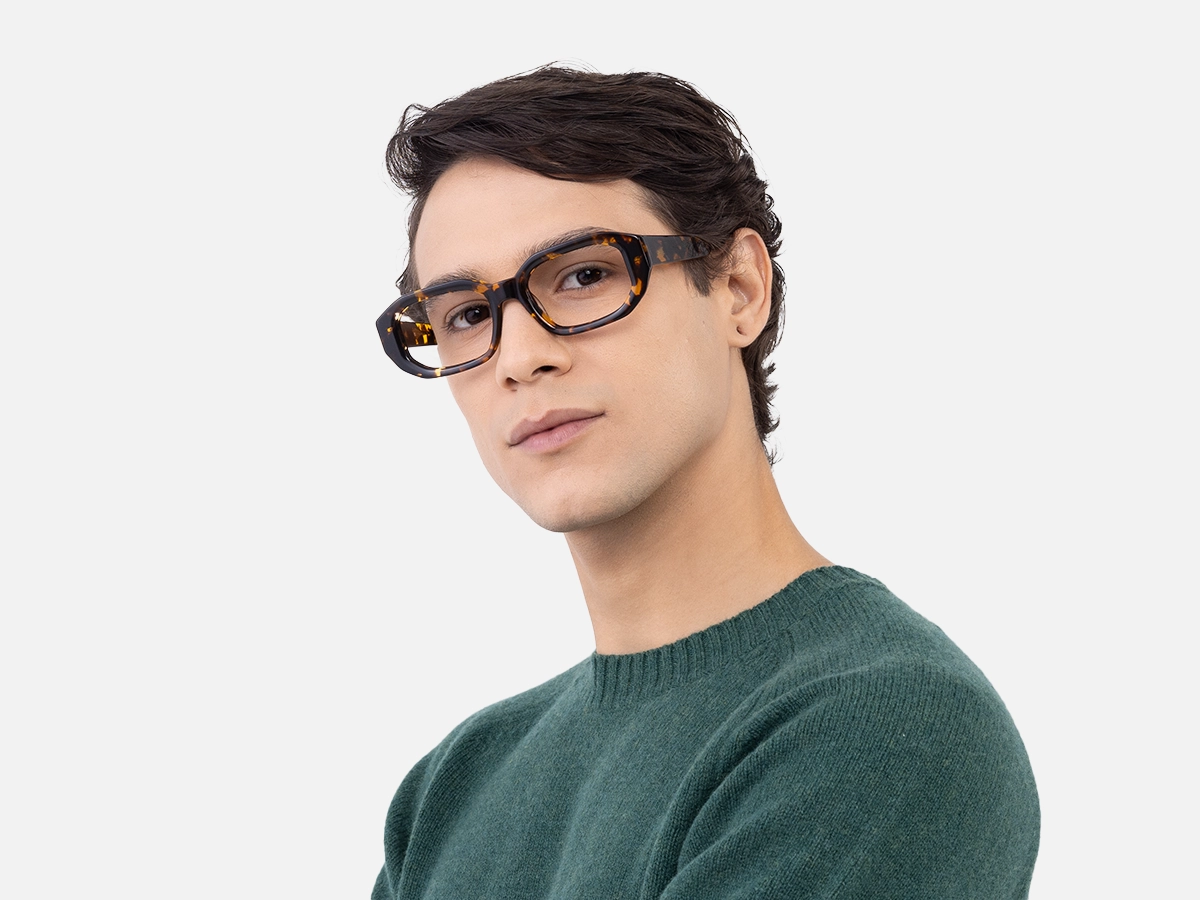Havana Tortoise Glasses-43