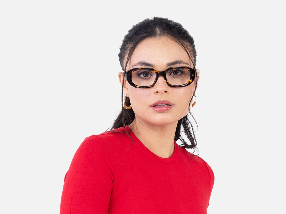 Havana Tortoise Glasses-51
