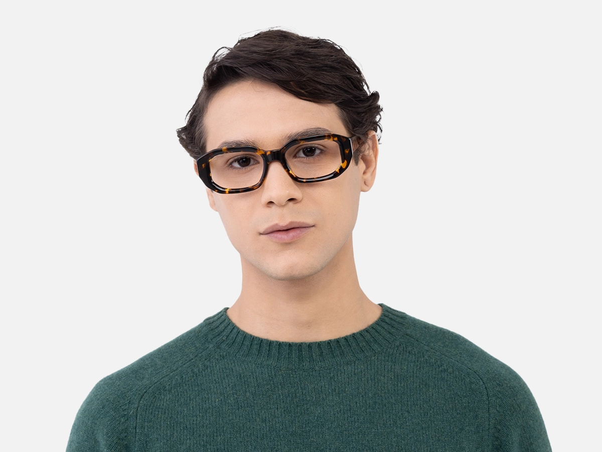 Havana Tortoise Glasses-41