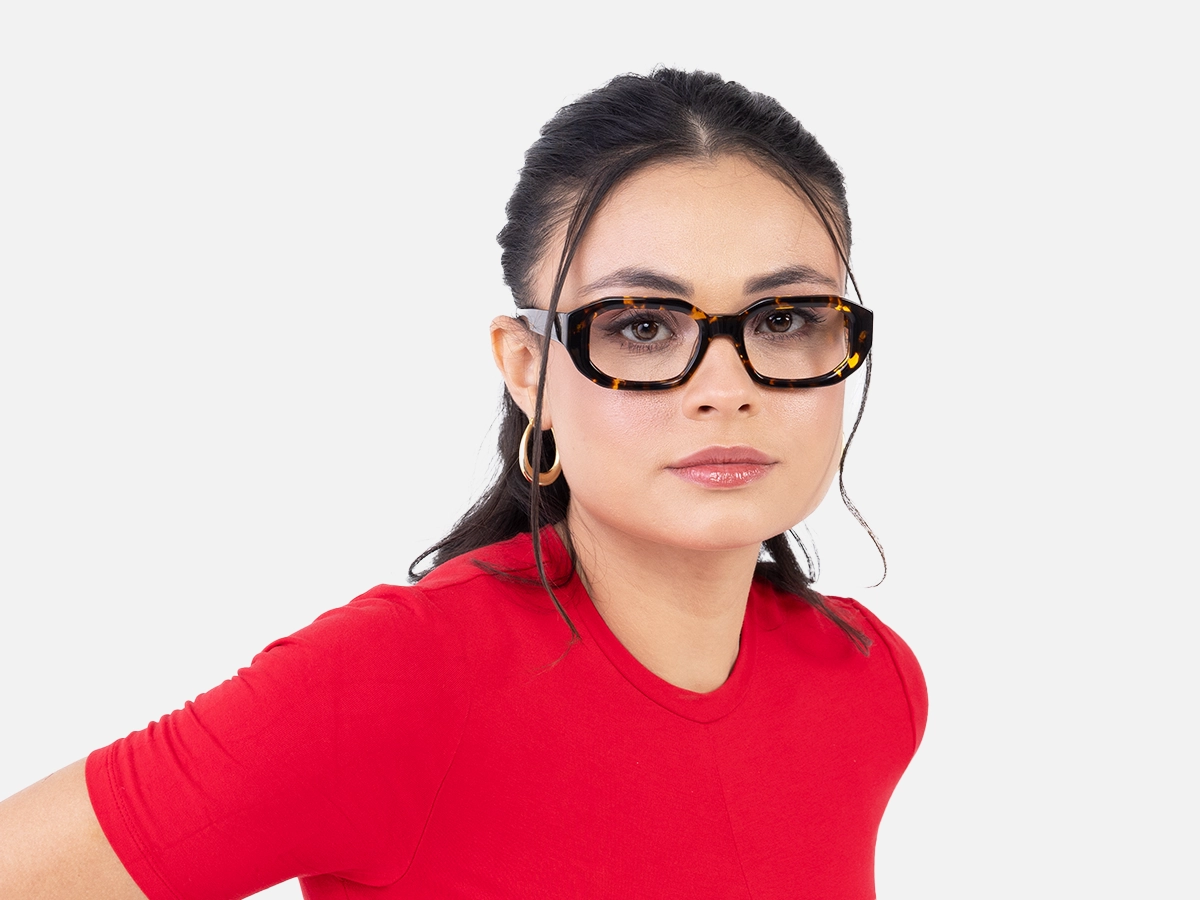 Havana Tortoise Glasses-52